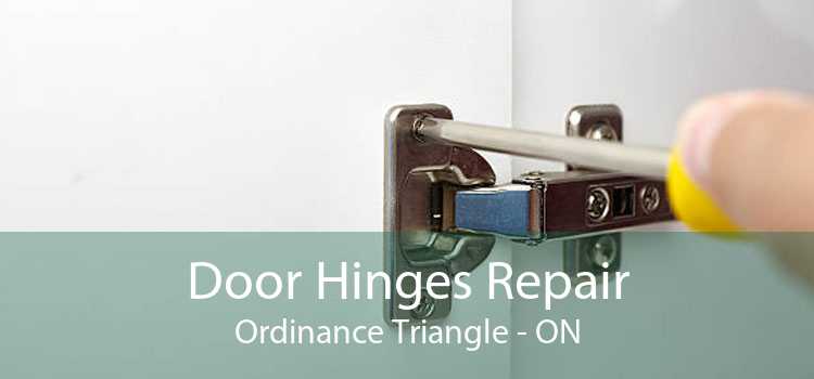 Door Hinges Repair Ordinance Triangle - ON