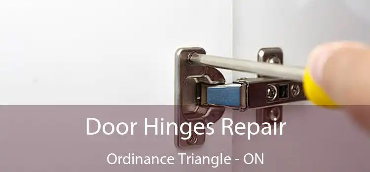  Door Hinges Repair Ordinance Triangle - ON
