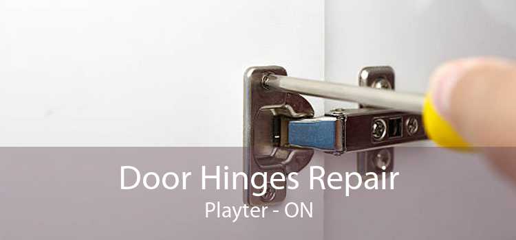 Door Hinges Repair Playter - ON