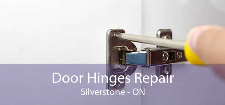 Door Hinges Repair Silverstone - ON