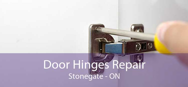 Door Hinges Repair Stonegate - ON