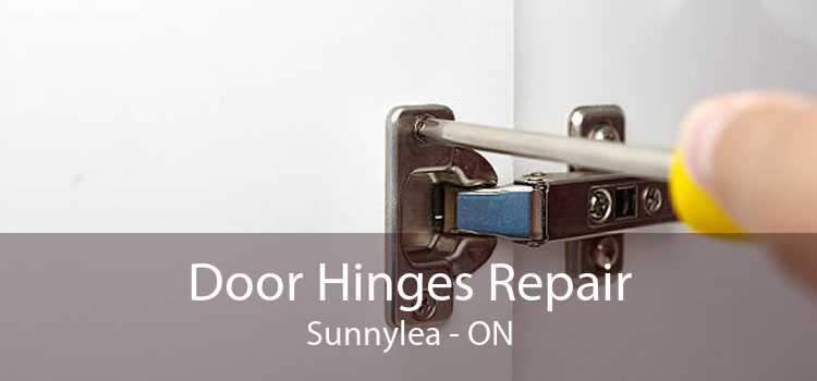 Door Hinges Repair Sunnylea - ON