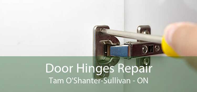 Door Hinges Repair Tam O'Shanter-Sullivan - ON
