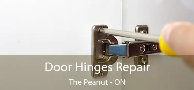  Door Hinges Repair The Peanut - ON