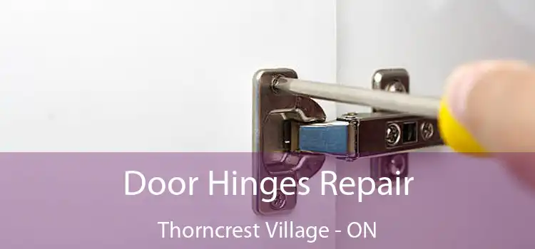  Door Hinges Repair Thorncrest Village - ON