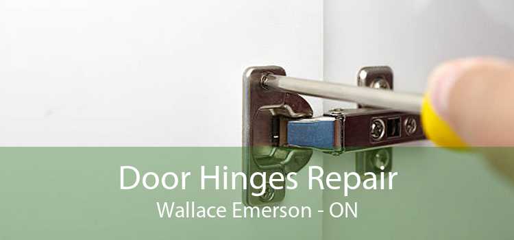 Door Hinges Repair Wallace Emerson - ON