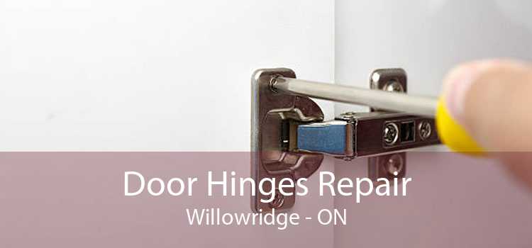 Door Hinges Repair Willowridge - ON
