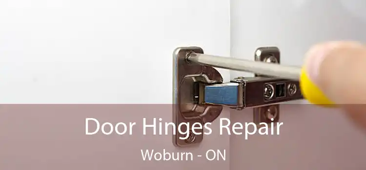  Door Hinges Repair Woburn - ON