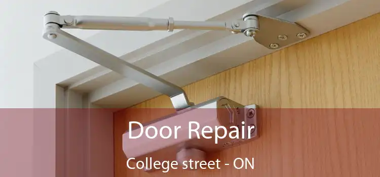  Door Repair College street - ON