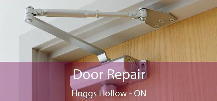  Door Repair Hoggs Hollow - ON