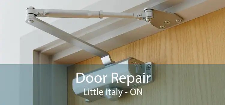  Door Repair Little Italy - ON