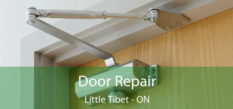  Door Repair Little Tibet - ON