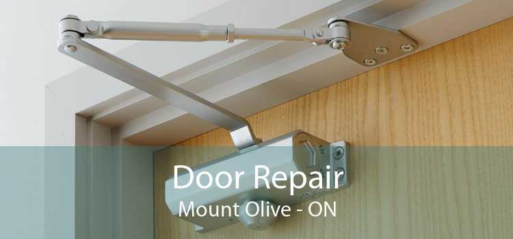 Door Repair Mount Olive - ON