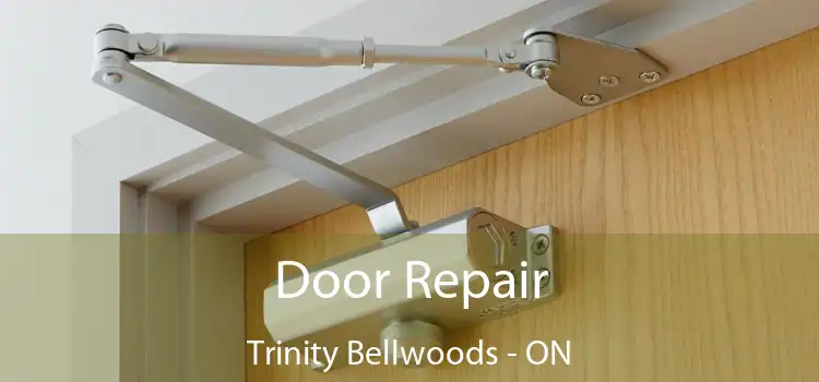  Door Repair Trinity Bellwoods - ON