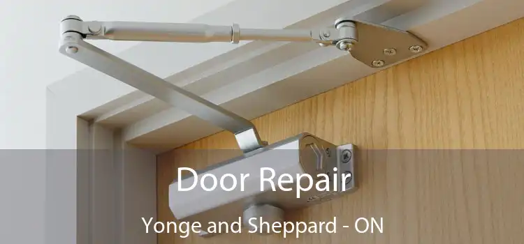  Door Repair Yonge and Sheppard - ON