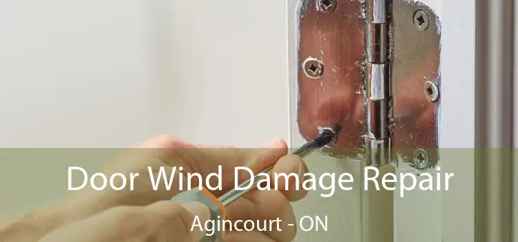  Door Wind Damage Repair Agincourt - ON
