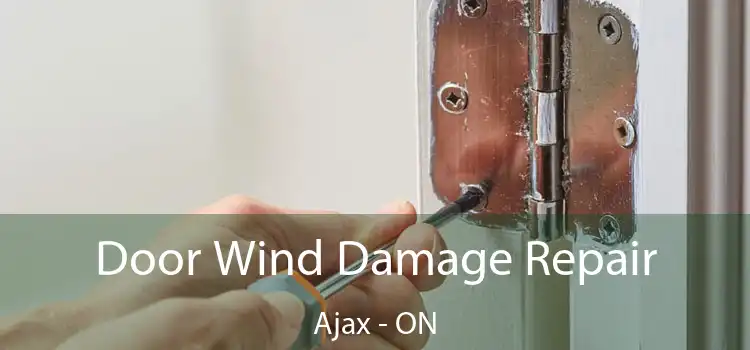  Door Wind Damage Repair Ajax - ON