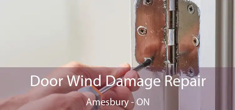  Door Wind Damage Repair Amesbury - ON