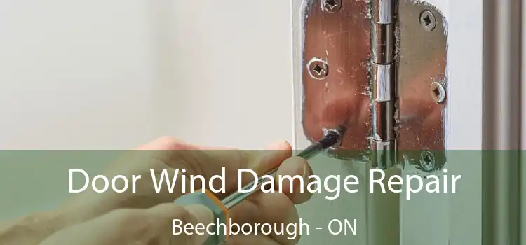  Door Wind Damage Repair Beechborough - ON