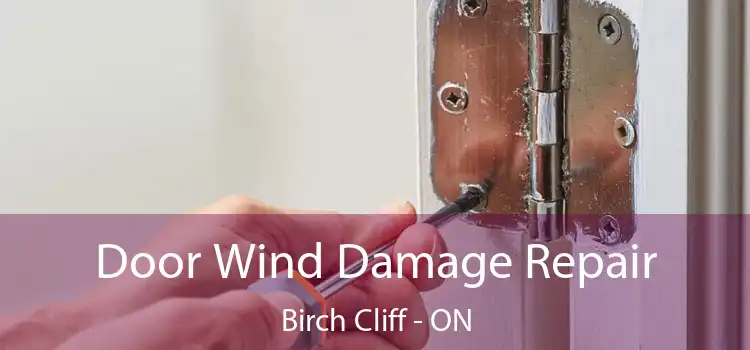  Door Wind Damage Repair Birch Cliff - ON