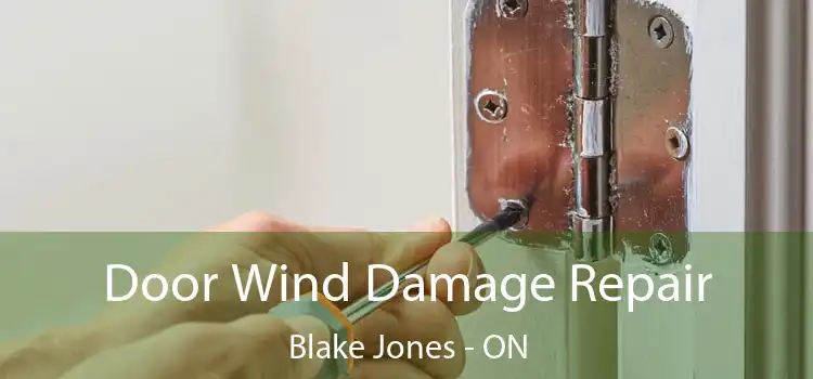  Door Wind Damage Repair Blake Jones - ON