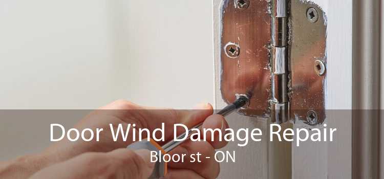 Door Wind Damage Repair Bloor st - ON