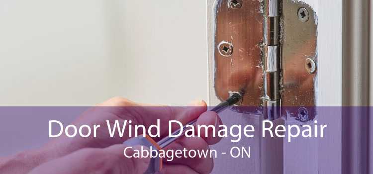 Door Wind Damage Repair Cabbagetown - ON