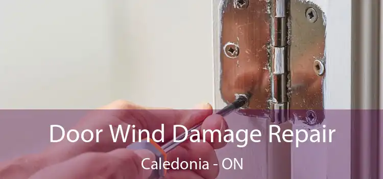  Door Wind Damage Repair Caledonia - ON