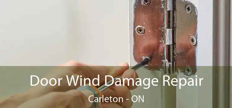  Door Wind Damage Repair Carleton - ON