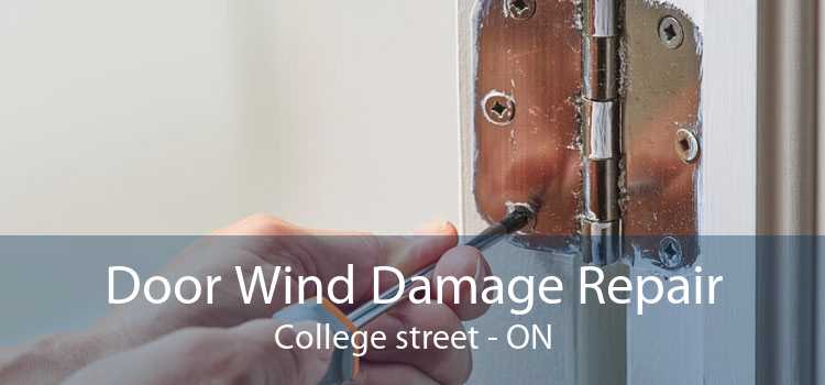 Door Wind Damage Repair College street - ON