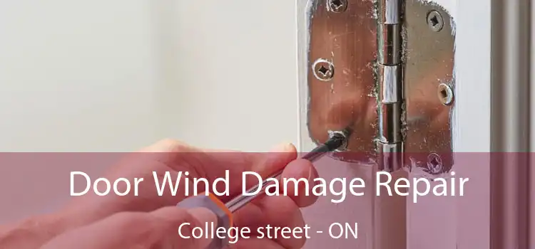 Door Wind Damage Repair College street - ON
