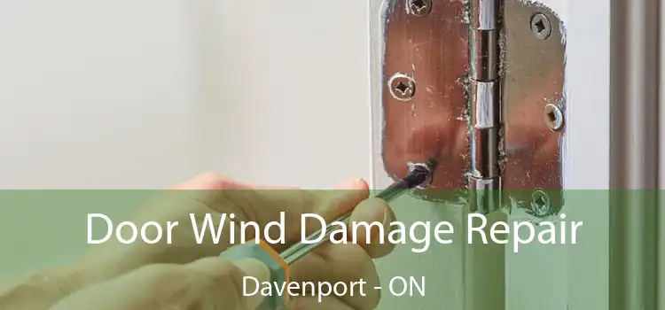  Door Wind Damage Repair Davenport - ON