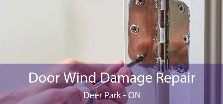  Door Wind Damage Repair Deer Park - ON