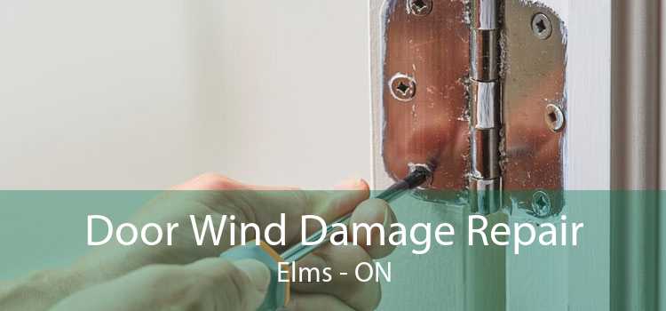 Door Wind Damage Repair Elms - ON