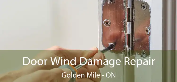  Door Wind Damage Repair Golden Mile - ON