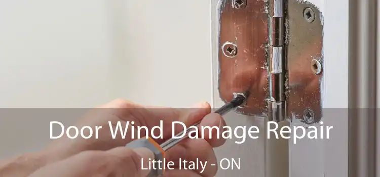  Door Wind Damage Repair Little Italy - ON