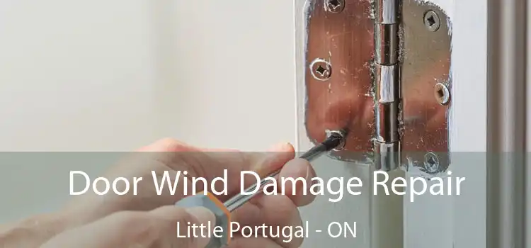  Door Wind Damage Repair Little Portugal - ON