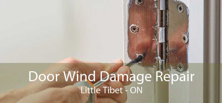 Door Wind Damage Repair Little Tibet - ON
