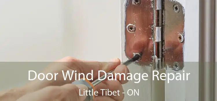  Door Wind Damage Repair Little Tibet - ON