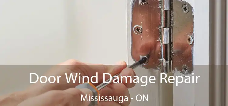  Door Wind Damage Repair Mississauga - ON