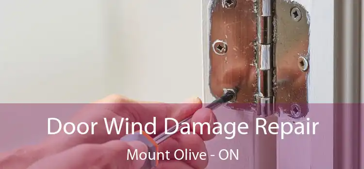  Door Wind Damage Repair Mount Olive - ON