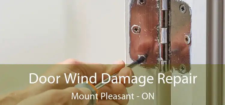  Door Wind Damage Repair Mount Pleasant - ON