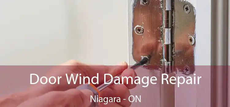  Door Wind Damage Repair Niagara - ON
