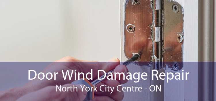 Door Wind Damage Repair North York City Centre - ON