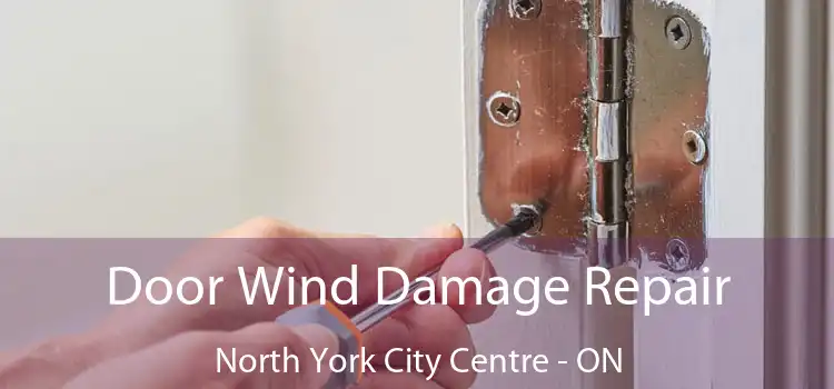  Door Wind Damage Repair North York City Centre - ON