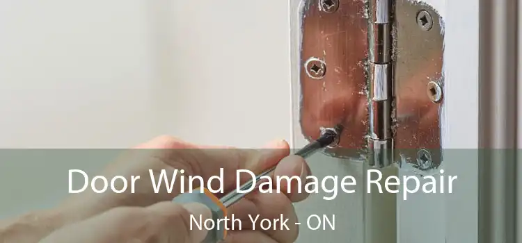  Door Wind Damage Repair North York - ON