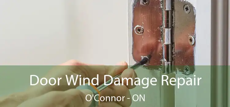  Door Wind Damage Repair O'Connor - ON