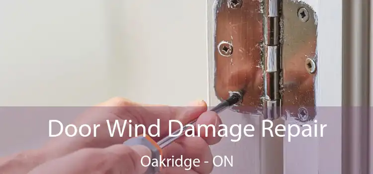  Door Wind Damage Repair Oakridge - ON