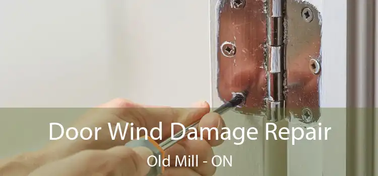  Door Wind Damage Repair Old Mill - ON