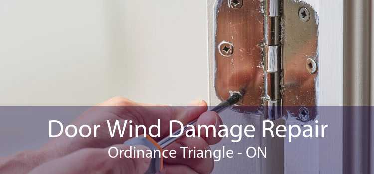 Door Wind Damage Repair Ordinance Triangle - ON